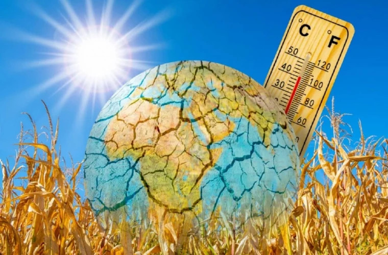 2025 год может стать одним из самых тёплых с начала метеонаблюдений