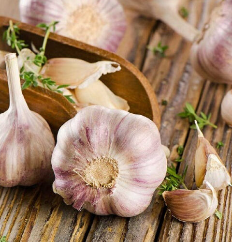 Чеснок на пустой желудок: как он укрепляет иммунитет и защищает от болезней