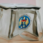 ЦИК разъясняет процедуру голосования на новых местных выборах в Молдове 16 ноября 2025 года