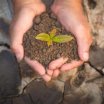 Европе угрожает деградация почв: потеря одного миллиарда тонн в год и угроза продовольственной безопасности