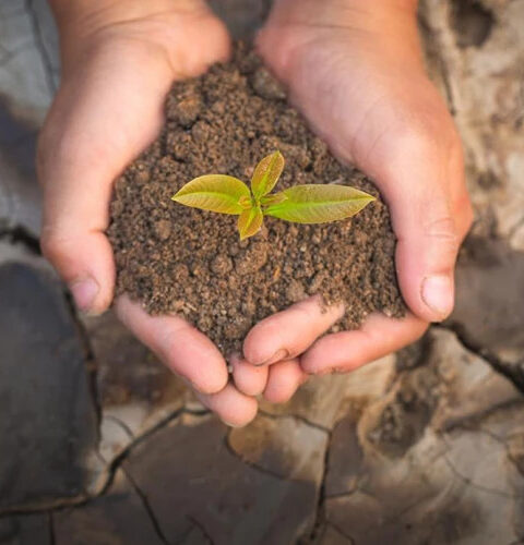 Европе угрожает деградация почв: потеря одного миллиарда тонн в год и угроза продовольственной безопасности