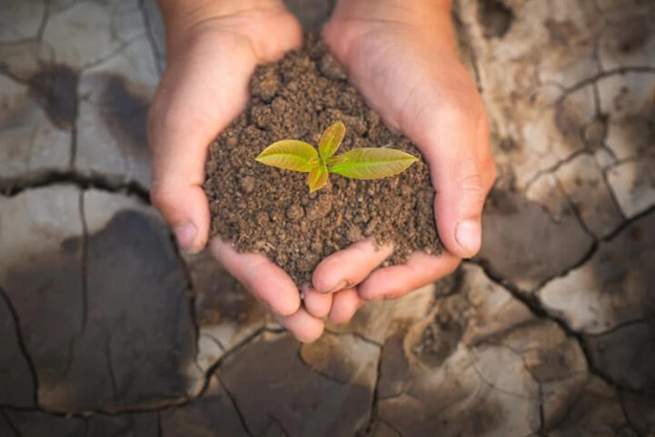Европе угрожает деградация почв: потеря одного миллиарда тонн в год и угроза продовольственной безопасности