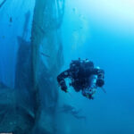 Греческие дайверы начали масштабную очистку морского дна от брошенных рыбацких сетей