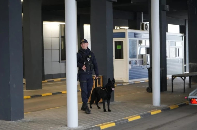 Грузовик с оружием остановлен на таможне "Албица": водитель из Молдовы задержан
