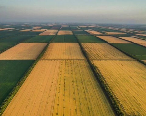 Иностранцы смогут купить сельскохозяйственные земли в Молдове после вступления в ЕС?