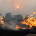 Иран запросил международную помощь для ликвидации лесного пожара в регионе ЮНЕСКО