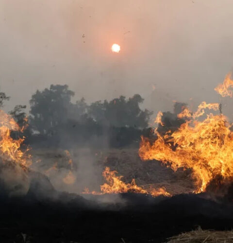 Иран запросил международную помощь для ликвидации лесного пожара в регионе ЮНЕСКО