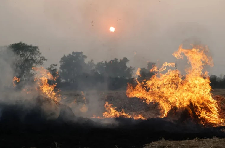 Иран запросил международную помощь для ликвидации лесного пожара в регионе ЮНЕСКО