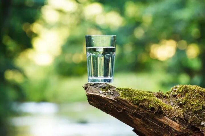 Исследование: газированная вода способствует повышению уровня голода и набору веса