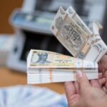 Корректировка государственного бюджета Молдовы на 2025 год одобрена правительством