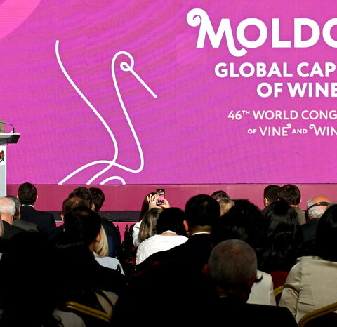 Молдова получила международное признание за проект винодельческого конгресса на City Nation Place Awards 2025