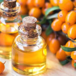 Облепиха: полезные свойства и применение в медицине и профилактике заболеваний