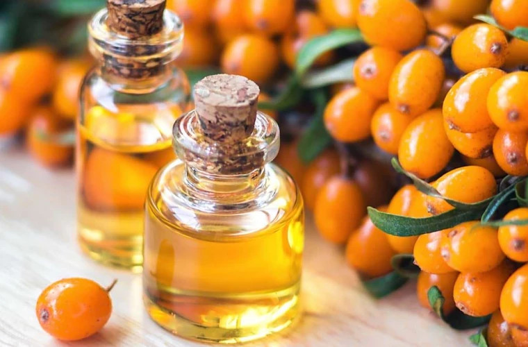 Облепиха: полезные свойства и применение в медицине и профилактике заболеваний