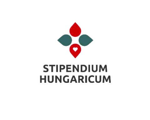Онлайн-заявки на стипендию «Stipendium Hungaricum» открыты для молдавских студентов