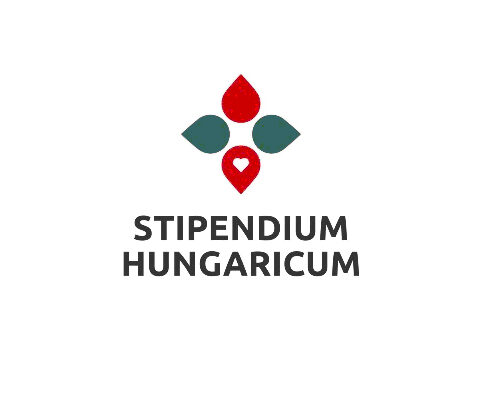 Онлайн-заявки на стипендию «Stipendium Hungaricum» открыты для молдавских студентов