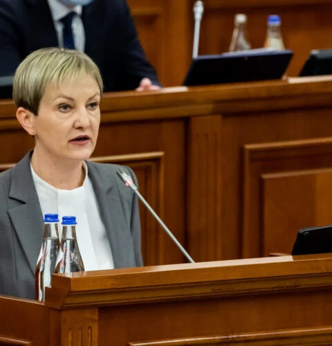 ПСРМ требует разъяснений у Центра по делу о контрабанде оружия на таможне «Албица»