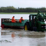 Сильное наводнение в Албании привело к жертвам и разрушениям в сельском хозяйстве