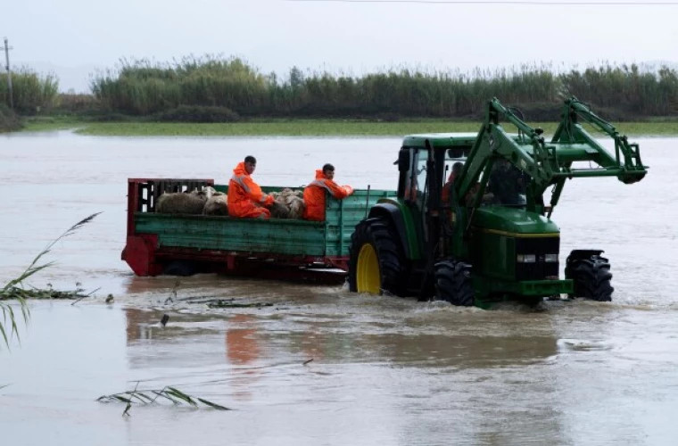 Сильное наводнение в Албании привело к жертвам и разрушениям в сельском хозяйстве