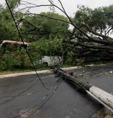 Торнадо в бразильском штате Парана разрушил город, погибло пять человек