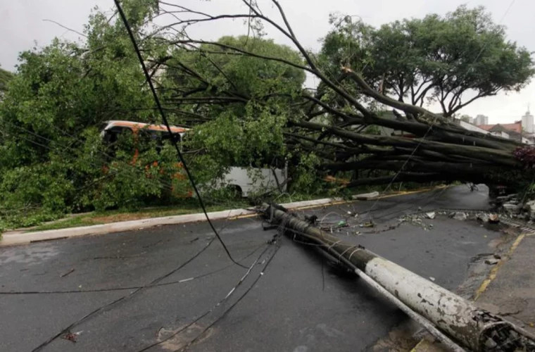 Торнадо в бразильском штате Парана разрушил город, погибло пять человек
