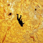 Уникальный снимок парашютиста на фоне Солнца стал хитом соцсетей