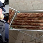 В Бразилии задержаны мошенники, отмывавшие деньги с помощью стирки банкнот