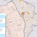 В Молдове зафиксированы новые случаи бешенства и африканской чумы свиней