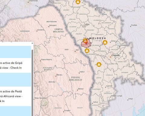 В Молдове зафиксированы новые случаи бешенства и африканской чумы свиней
