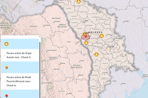 В Молдове зафиксированы новые случаи бешенства и африканской чумы свиней