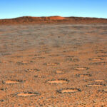 В Намибии раскрыта тайна загадочных кругов фей, оказавшихся результатом нехватки почвенной влаги