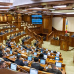 В парламенте Молдовы обсуждают лесовосстановление и критику качества саженцев