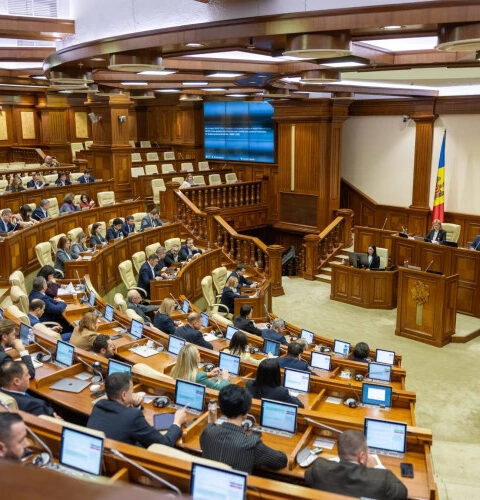 В парламенте Молдовы обсуждают лесовосстановление и критику качества саженцев