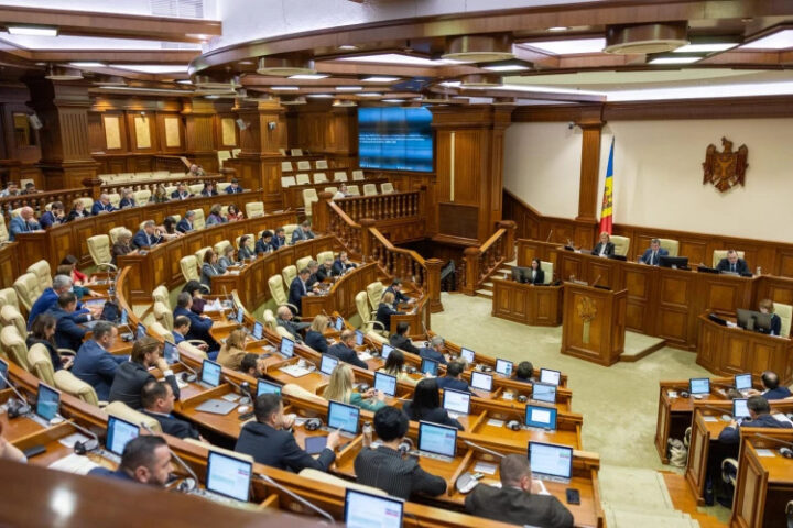 В парламенте Молдовы обсуждают лесовосстановление и критику качества саженцев