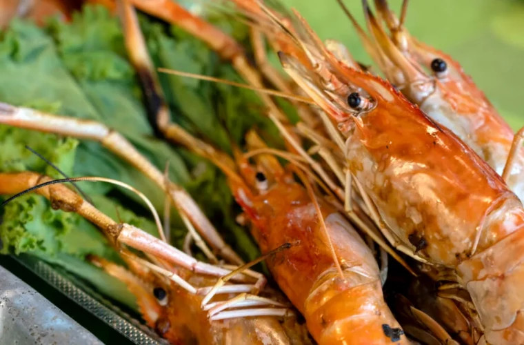 Япония возобновляет экспорт морепродуктов в Китай после утечки на АЭС Фукусима