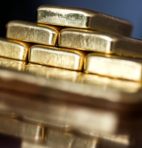 Житель французской коммуны нашёл в своём саду золотые слитки и монеты стоимостью 700 тысяч евро