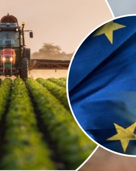 Аграрный потенциал Украины укрепляет экономическую и политическую устойчивость Европы