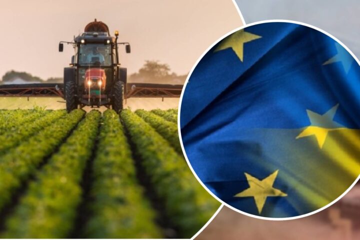Аграрный потенциал Украины укрепляет экономическую и политическую устойчивость Европы