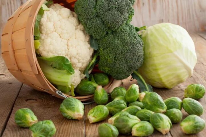 Брокколи и брюссельская капуста снижают риск сердечно-сосудистых заболеваний по данным исследования