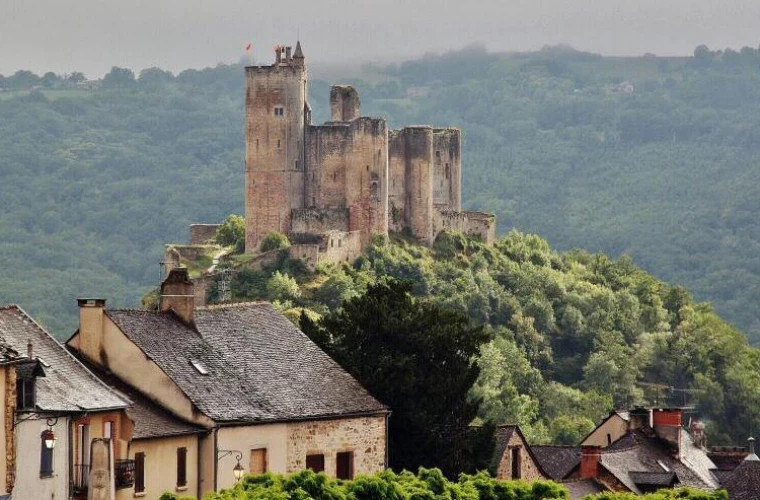 Французский мэр подал в отставку после пяти месяцев отсутствия из-за командировки на Таити