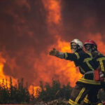 Исследование: влияние пожаров растительности на атмосферу и механизм охлаждения климата