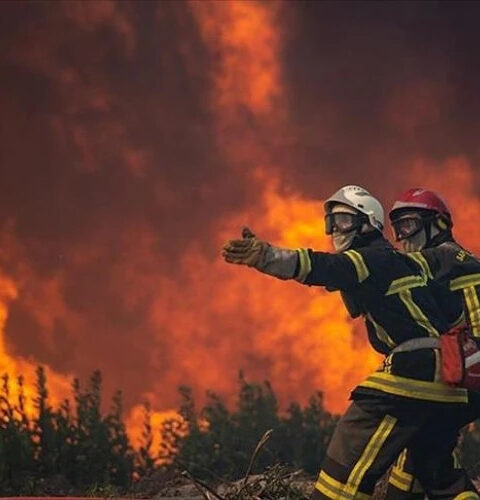 Исследование: влияние пожаров растительности на атмосферу и механизм охлаждения климата