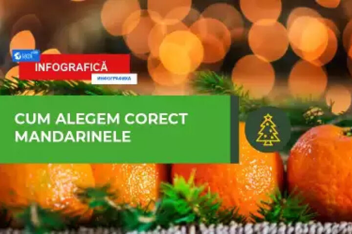 Как правильно выбрать мандарины: рекомендации и экспертиза