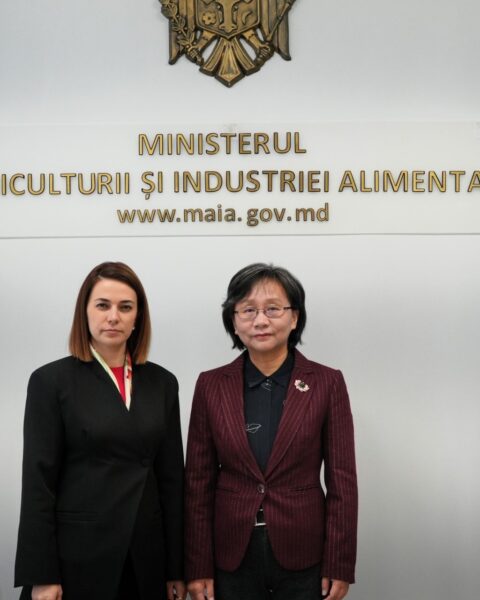 Китай проявляет интерес к импорту молдавской сельскохозяйственной продукции