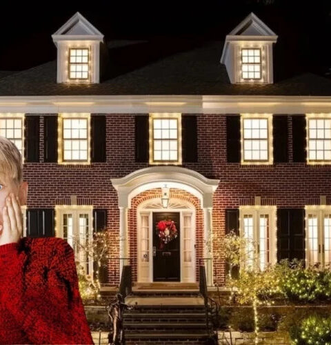 Кондитер из Великобритании воссоздала торт по мотивам дома из фильма «Один дома»