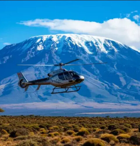 Крушение вертолёта на Килиманджаро унесло жизни пяти человек, включая иностранных туристов