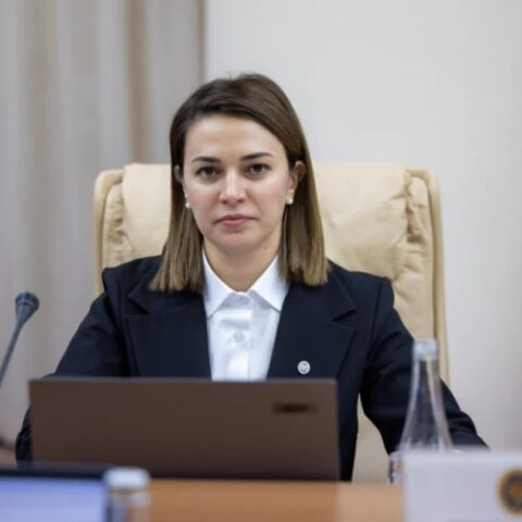 Людмила Катлабуга комментирует вотум недоверия парламентской оппозиции по аграрной политике