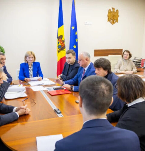 Парламентская комиссия по внешней политике утвердила новых послов Молдовы в Румынии, Украине, Франции и Китае