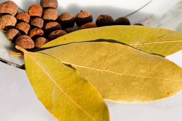 Польза дыма от сжигаемого лаврового листа для здоровья и улучшения микроклимата в помещении