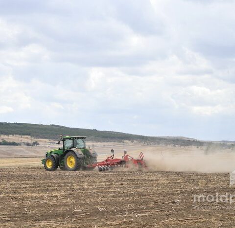 Правительство Молдовы ввело мораторий на изъятие имущества фермеров на 12 месяцев