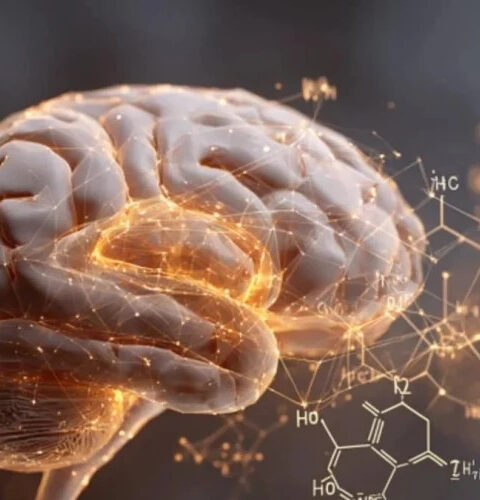 Редактирование гена Grik4 устраняет тревожность у лабораторных животных, установили испанские учёные